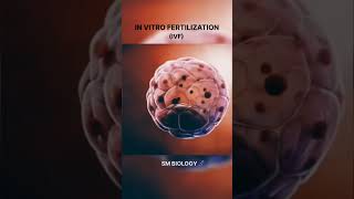 IN VITRO FERTILIZATION PROCESS #biology #knowledge #science #sciencefacts #ivf #health