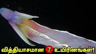 வித்தியாசமான  7 கடல் உயிரினங்கள்