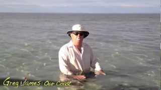 Our Coast - Introduction