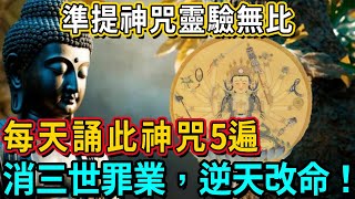 準提神咒靈驗無比，每天誦此神咒5遍，有求必應，消除三世罪業，逆天改命！#熱門 #佛教 #神咒 #正能量 #蓮生活佛 #靈氣