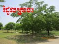 រំដួលក្រចេះ កែវ សារ៉ាត់