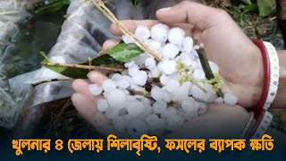 খুলনার ৪ জেলায় শিলাবৃষ্টি, ফসলের ব্যাপক ক্ষতি | Dhaka Post