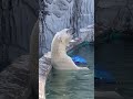 フブキ君温泉入ってるみたいね　東山動植物園