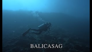 Scuba Diving Cebu 2024 - Bohol Balicasag 薄荷島 巴里卡薩