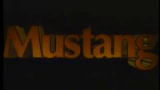 Mustang Video (1990s)
