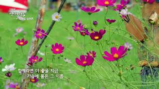 [화면해설방송] UHD 영상미학 - DMZ, 철원의 가을을 느끼다