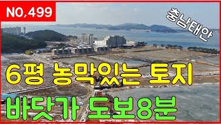 매물번호499번 6평 농막있는 토지 조개체험이 가능한 바닷가 도보8분거리위치 일등부동산TV