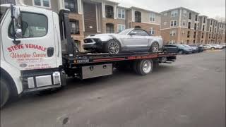 a TREE hit a MUSTANG! Yes you read that right!