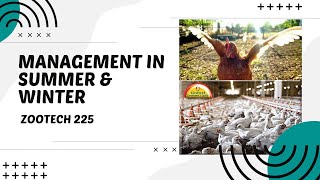 POULTRY 1 | Management During Summer and Winter | Module 14 (Student Output)