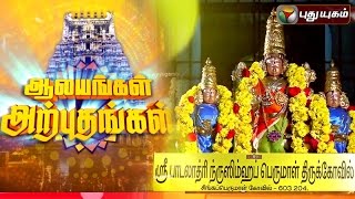 Patalathri Narasimhar Temple | Aalayangal Arputhangal | 22/01/2016 | Puthuyugam TV