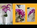 Tutorial Bunga Anggrek paling simple dari kain stocking|| Stocking flowers