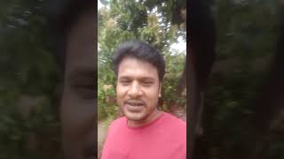 কোন স্বর্গ সুখের আশায় তুমি ছেড়ে যাবে আমায় খুবই জনপ্রিয় একটি গান