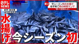 【サンマ】秋の味覚 “今シーズン初”の水揚げ…量は？ 岩手（列島ニュースまとめ）