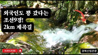 외국인도 반해버린 비밀 트래킹 코스  #죽계구곡 #경북산림관광