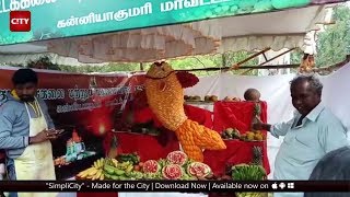 குன்னூரில் தொடங்கியது 60-வது பழக்கண்காட்சி