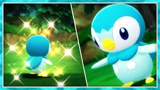 [LIVE] SHINY PIPLUP In Brilliant Diamond after 943 SRs! + 2 Uncatchble Starlys!