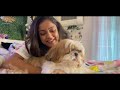 bruno u0026 me a pawfect day with bruno vithika sheru ep 44