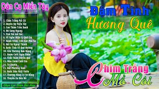 Chim Trắng Mồ Côi - LK Nhạc Trữ Tình Miền Tây Cha Cha Cha Remix Hay Nhất 2025❤️Dân Ca Quê Hương 2025