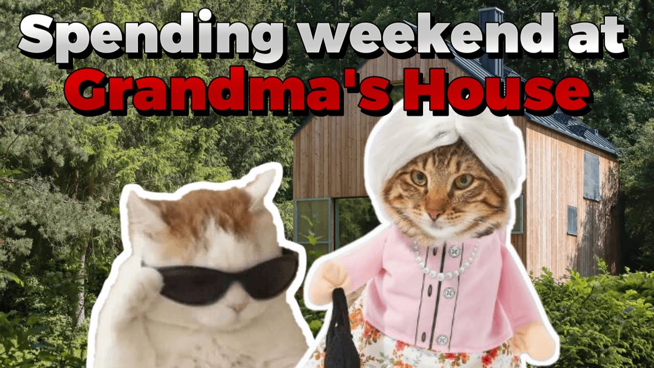 Grandma S Secret Cat Meme Collection Revealed Youtube
