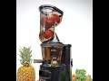 Buchymix Premium Masticating Cold Pressed Juicer With High Torque Motor