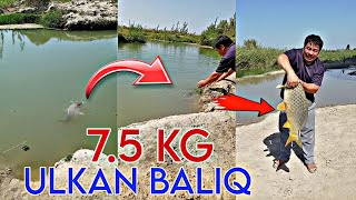 7.5 KG BALIQ OVLANDI, DAXSHAT 😱 #baliqovi #baliq_ovi