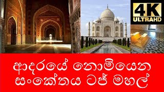 🌏 Taj Mahal | ආදරයේ නොමියෙන සංකේතය ටජ්මහල් | Danuma Lanthaya