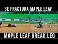 MAPLE LEAF Se FRACTURA - BREAK LEG Saratoga