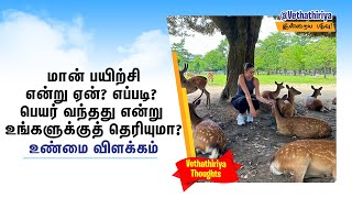 மான் பயிற்சி என்று ஏன்? எப்படி? பெயர் வந்தது? உங்களுக்குத் தெரியுமா? உண்மை விளக்கம் Deer Exercise