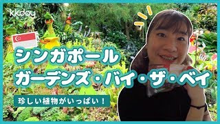 【シンガポール旅行】珍しい植物がいっぱい！シンガポール・ガーデンズ・バイ・ザ・ベイ