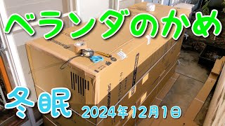 【イシガメ、クサガメ】ベランダ飼育のカメ達、冬眠の準備をします。2024年バージョン。#イシガメ #ニホンイシガメ #クサガメ #屋外飼育