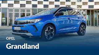 Nuova Opel Grandland 2021 | BENZINA o IBRIDO? Proviamoli!