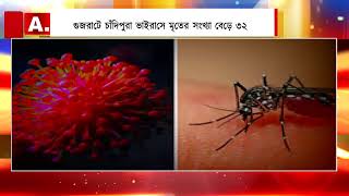 গুজরাটে চাঁদিপুরা ভাইরাসে মৃতের সংখ্যা বেড়ে ৩২ #medical #newsupdate #viralnews #who #health #india