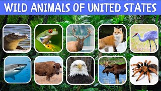 100 Wild Animals of United States of America | Wild Animal Names #animals #animallover #wildlife