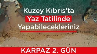 Kıbrısta Yaz Tatili Karpaz Eşekleri, KARPAZ 2.GÜN