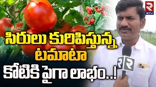 Huge Profits For Tomato Farmer || కోటికి పైగా లాభం..! || Medak District ||  RTV