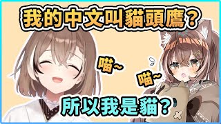 喵Mei? 當Mumei知道自己的中文是貓頭鷹時的反應... 【Nanashi Mumei】【Hololive 中文精華】