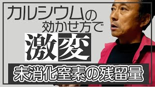 第39回【苺反12トン農家】カルシウム 窒素 炭素率のコントロール方法