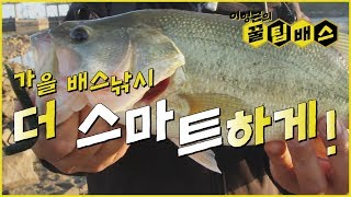 [꿀팁배스 Ep86] 가을 배스낚시 : 강이 핫한 이유!