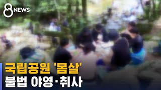 샛길로 다니고 바비큐도…불법행위에 국립공원 '몸살' / SBS