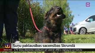 Suņu paklausības sacensības Skrundā