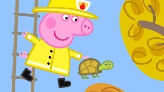 Peppa Pig Français | Compilation d'une heure 2 | Dessin Animé Pour Enfant