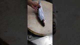 Giant Milk Fish Fast Cutting Skills#shorts