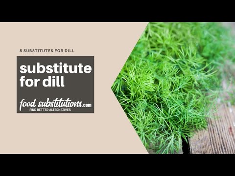 8 Dill Substitutes to Try in Your Recipes – Chef's Pencil