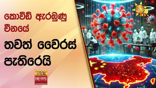 කොවිඩ් ඇරඹුණු චීනයේ තවත් වෛරස් පැතිරෙයි - Hiru News