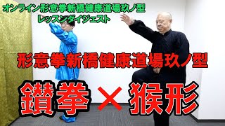 【形意拳】オンラインレッスンダイジェスト　新橋健康道場玖ノ型（鑚拳×猴形）【オンライン形意拳新橋健康道場】