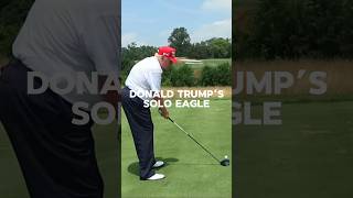 Donald Trump and Bryson DeChambeau breaking 50.  #golf #shorts