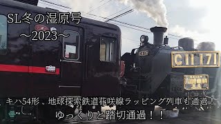 SL冬の湿原号〜2023〜キハ54形　地球探索鉄道花咲線ラッピング列車とゆっくりと踏切通過！