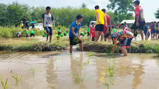 นักเรียนยุวเกษตรกรอำเภอเมืองสงขลา6โรงเรียนจับมือกันลงแขกดำนาปี6