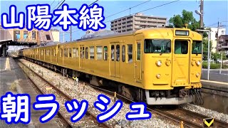 【岡山地区の朝ラッシュ！】山陽本線 中庄駅にやってくる電車たち【113系・115系・・・】