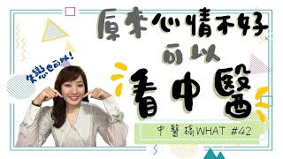 🤯心情不好可以看中醫?! | 胃與腦互相影響?! | 身心疾病中醫來治療! /// 中醫搞WHAT #42